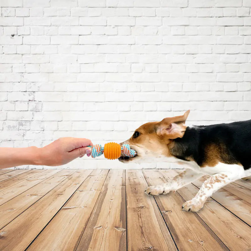 Rope Toy for Pets